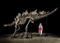 Citadel’s Ken Griffin buys a stegosaurus for $45 million in a record auction sale