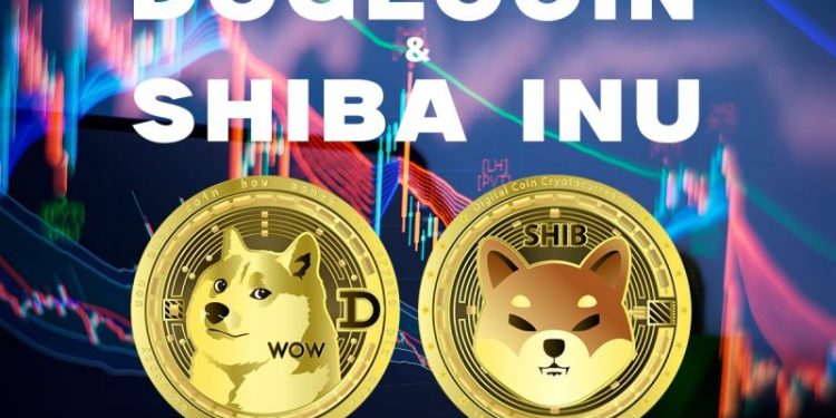 Dogecoin and the Shiba Inu: Dogecoin is recovering