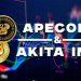 ApeCoin and the Akita Inu: Akita Inu continues to retreat