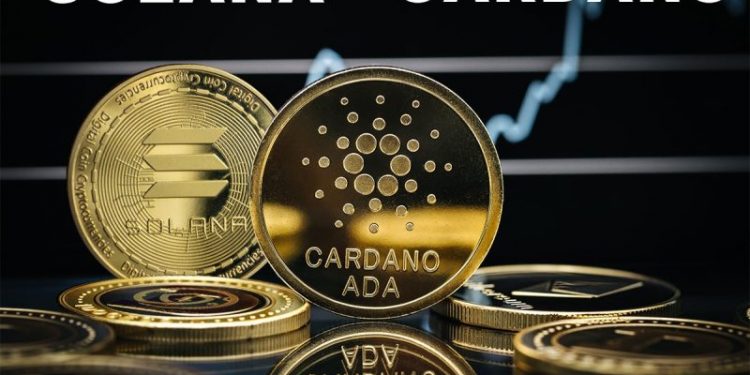 Solana and Cardano: Solana recovers to the $178.00 level