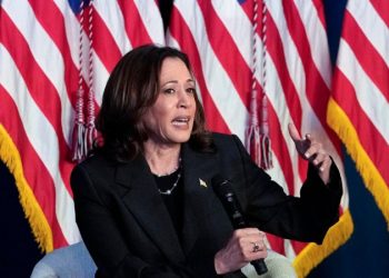 Kamala Harris reassures Democratic Party donors that there’s nothing to worry about