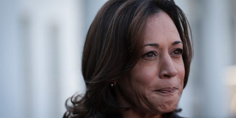 Dem strategists say Harris ‘only practical choice’ as party leaders begin endorsing her
