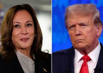 Pollster finds ‘astounding change’ in Democratic electorate since Harris’ ascension