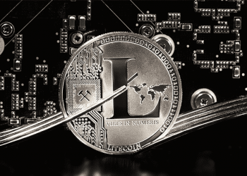 SafeMoon and Litecoin: Litecoin has support issues