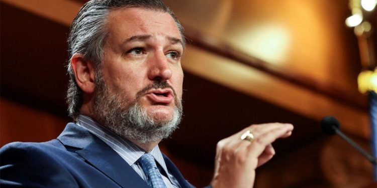 Cruz warns against underestimating Harris: Dems pitching her as ‘Mother Teresa, Oprah, and Gandhi’ combo