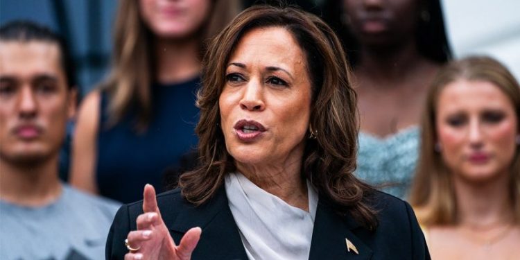 Harris says Biden is currently capable of serving as president amid growing concerns over his fitness