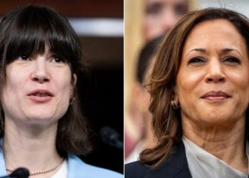 Vulnerable House Dem’s campaign makes stunning admission on potential Harris endorsement: ‘Clear statement’