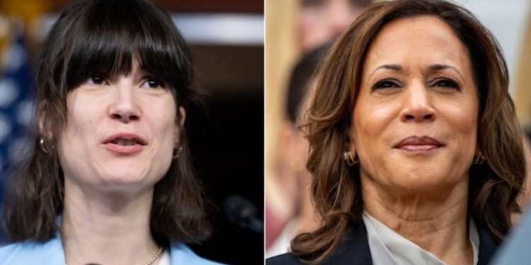 Vulnerable House Dem’s campaign makes stunning admission on potential Harris endorsement: ‘Clear statement’