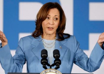 New poll reveals what Democrats think of Harris as president