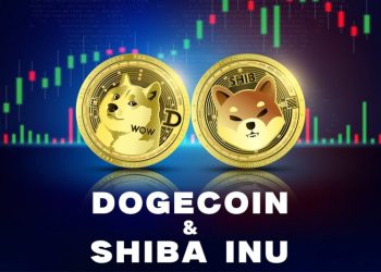 Dogecoin and Shiba Inu continue to descend to new lows