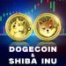 Dogecoin and Shiba Inu continue to descend to new lows