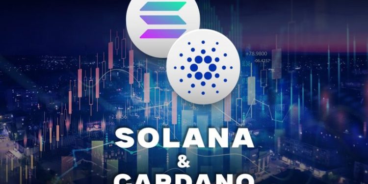 Solana and Cardano: Solana is stable on the bullish side