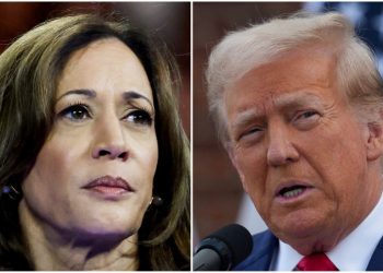 Both Harris, Trump late on transition plans despite mammoth tasks ahead