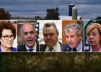 ‘Feel betrayed’: Top conservative group blasts vulnerable Dems on inflation in multimillion-dollar ad blitz