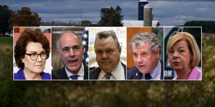 ‘Feel betrayed’: Top conservative group blasts vulnerable Dems on inflation in multimillion-dollar ad blitz