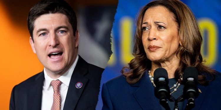‘Serious loophole’: GOP widens probe into ActBlue, Dem fundraising platform helping Harris raise millions