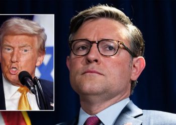 Johnson unveils new plan to avoid shutdown amid tension in GOP, scraps Trump-backed election measure