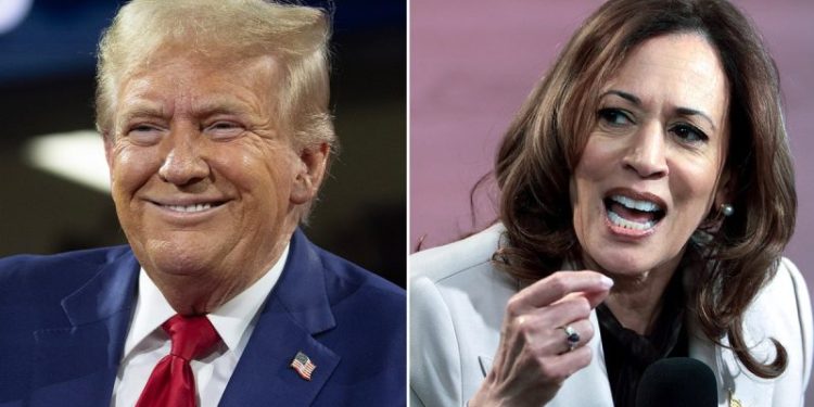 In hyperpartisan environment, MSNBC drawing fire for anti-Trump, pro-Harris programming