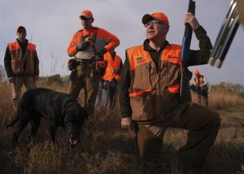 Pheasant hunts, football games: Walz makes his appeal to male voters