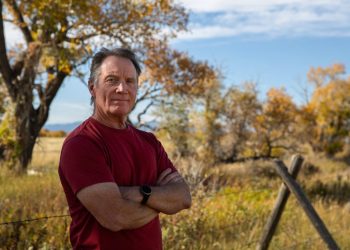 Montana ranger comes forward with account of Sheehy gun incident