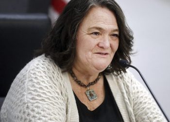 Arizona county official who delayed certifying election results accepts plea deal