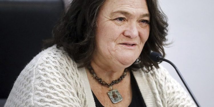 Arizona county official who delayed certifying election results accepts plea deal