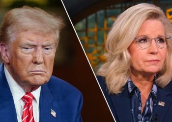 Trump lambastes Liz Cheney as ‘Crazed Warhawk’ as she campaigns for Kamala Harris