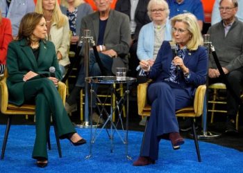 Liz Cheney predicts ‘millions of Republicans’ will vote for Harris: ‘Vote your conscience’