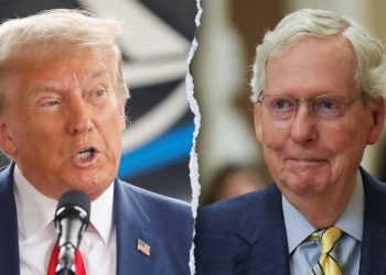 ‘Sleazeball’: McConnell’s 2020 thoughts on Trump revealed in new book