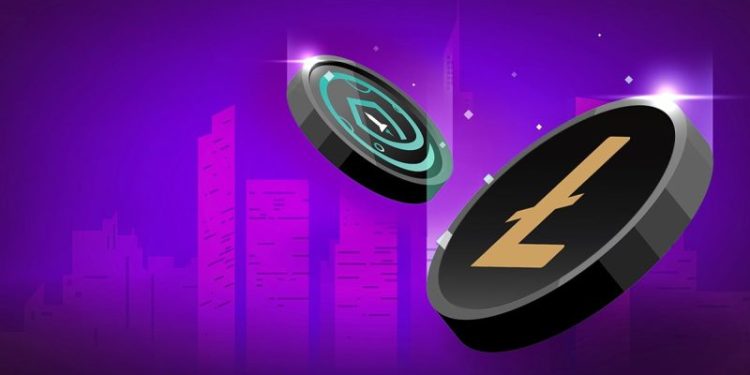 SafeMoon and Litecoin: Targets and Prices for Tuesday