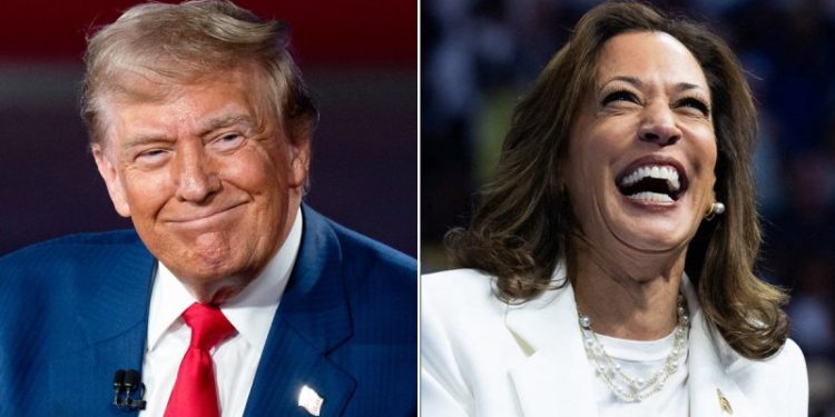 Battleground Dem warns traditional voting bloc being ‘split’ in 2024