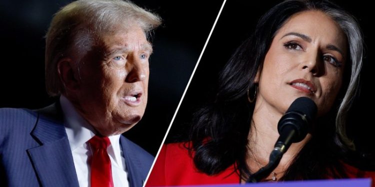 Tulsi Gabbard, former Democratic candidate for president, joins Republican party at Trump rally