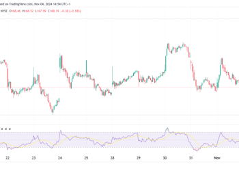 Blackstone’s Stock: Wealth Assets Reach $250B