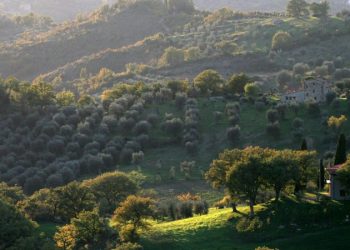 Italian village offering 1 Euro homes to Americans ‘worn out’ from election results