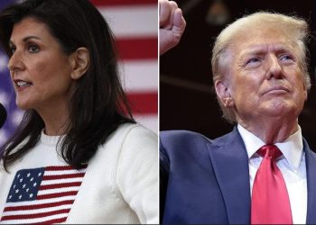 Nikki Haley responds after Trump says she won’t be part of new cabinet, says she wishes him ‘great success’
