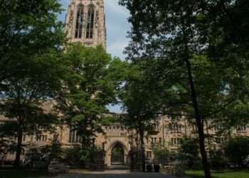 Stop funding the woke and the stupid