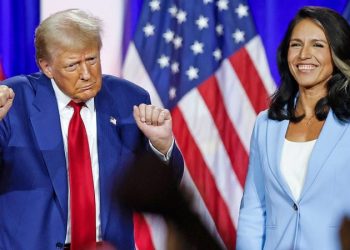 Democrats trash Tulsi Gabbard after Trump taps her for DNI post