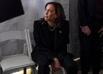 Harris waiting to address base after loss shows ‘lacking a grasp of American democratic tradition’: analysts