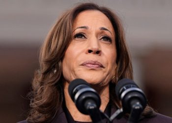 Harris campaign officials explain what went wrong –  and what Trump did right: report