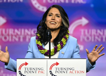 Tulsi Gabbard on short list of candidates for director of national intelligence job