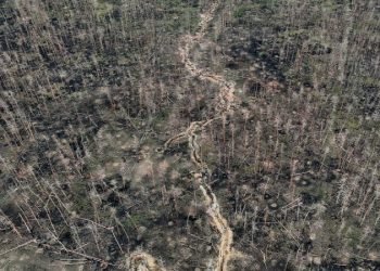 1,000 days of war in Ukraine as Zelenskyy doubles down on aerial options with ATACMS, drones and missiles