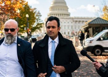 GOP senators ‘very impressed’ with Musk, Ramaswamy DOGE framework amid meetings on Capitol Hill