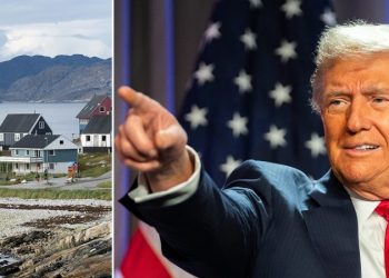 ‘Make Greenland Great Again’: Trump’s House GOP allies unveil bill to authorize country’s purchase